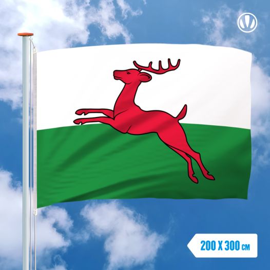 Vlag Smallingerland 200x300cm