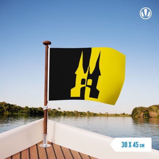 Vlag Sneek met Waterpoort 30x45cm