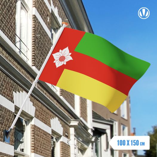 Vlag Tynaarlo 100x150cm