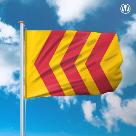 Vlag Voorst 150x225cm