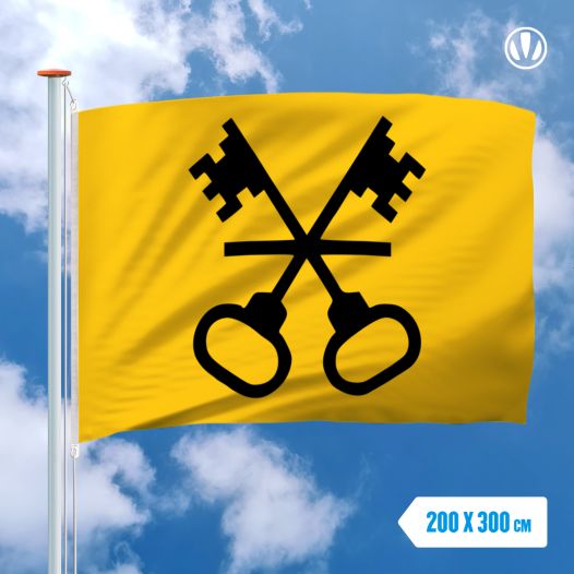 Vlag Waddinxveen 200x300cm