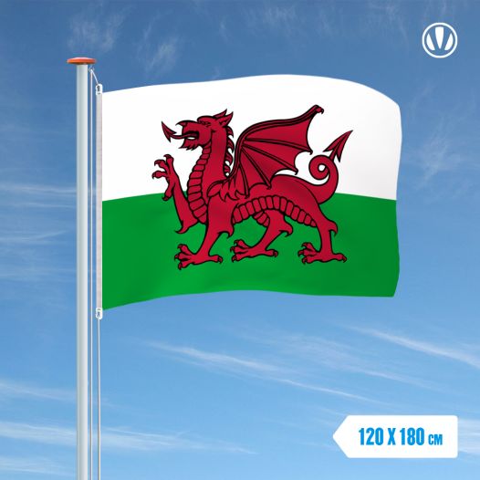 Vlag Wales 120x180cm