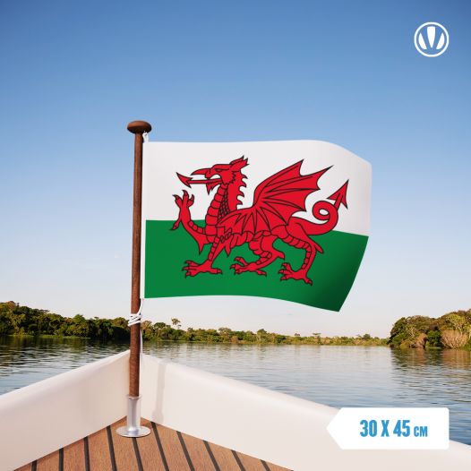 Vlag Wales 30x45cm