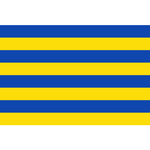 Vlag Wellen 70x100cm