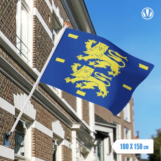 Vlag West-Friesland 100x150cm