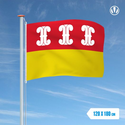 Vlag Wijk Bij Duurstede 120x180cm