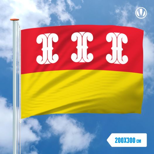 Vlag Wijk Bij Duurstede 200x300cm