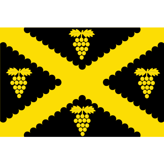 Vlag Wijnegem 100x150cm