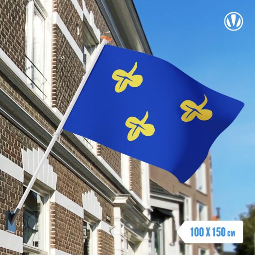 Vlag Zoeterwoude 100x150cm