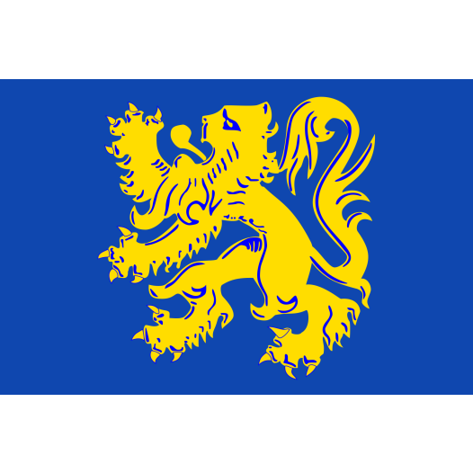 Vlag Zottegem 100x150cm