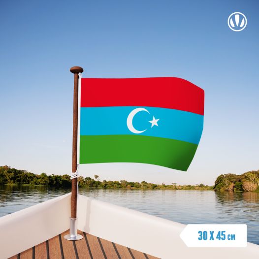 Vlag Zuid Turkistan 30x45cm