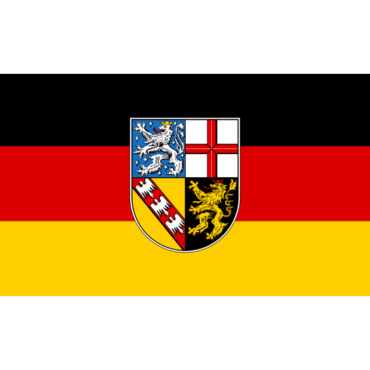 Vlag Saarland 150x225cm