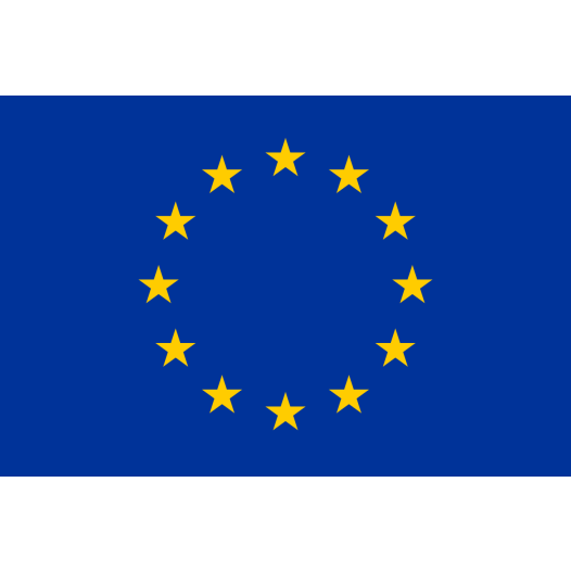 Vlag Europese Unie 150x225cm - Spunpoly