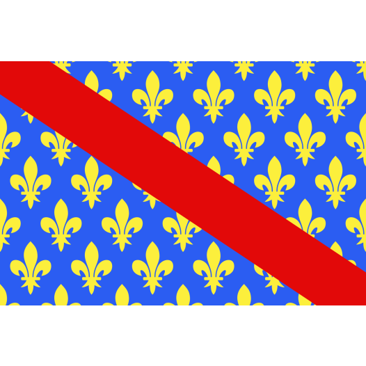 Vlag Allier 100x150cm