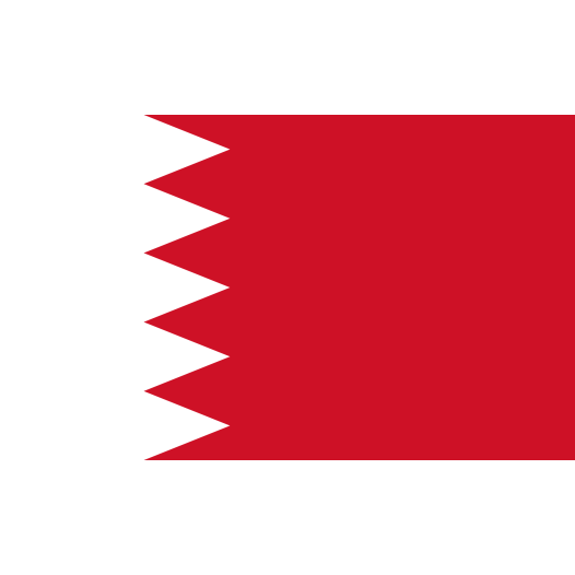 Vlag Bahrein 70x100cm