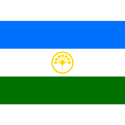 Vlag Basjkirostan 70x100cm