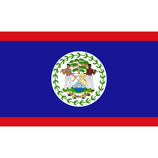 Vlag Belize 50x75cm