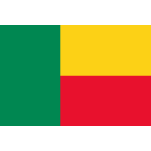 Vlag Benin 50x75cm