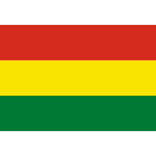 Vlag Bolivia 50x75cm