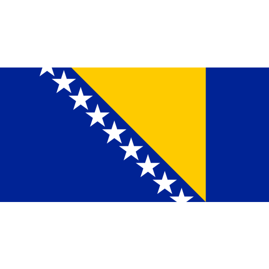 Vlag Bosnië Herzegovina 50x75cm