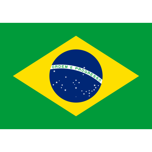 Vlag Brazilië 70x100cm