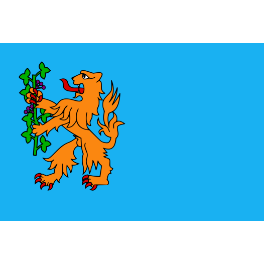 Vlag Brummen 70x100cm