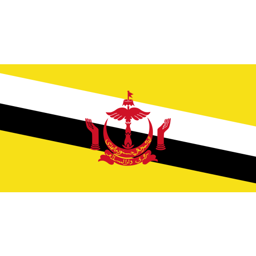 Vlag Brunei 70x100cm