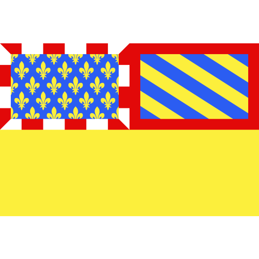 Vlag Cote-d'Or 200x300cm