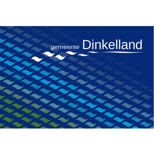 Vlag Dinkelland 70x100cm