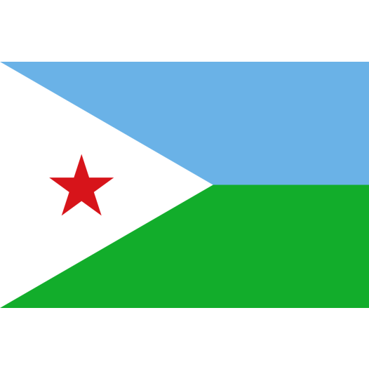 Vlag Djibouti 30x45cm