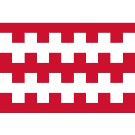 Vlag Dongen 70x100cm