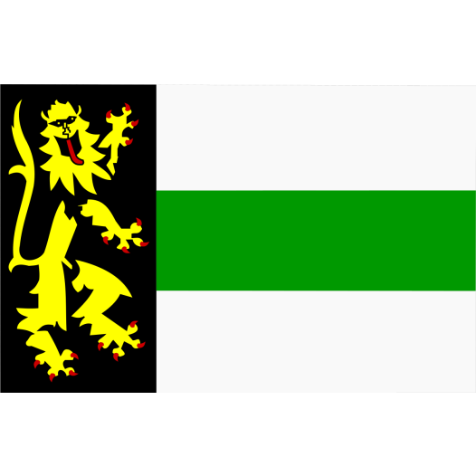 Vlag Druten 70x100cm