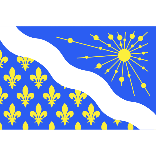 Vlag Essonne 200x300cm