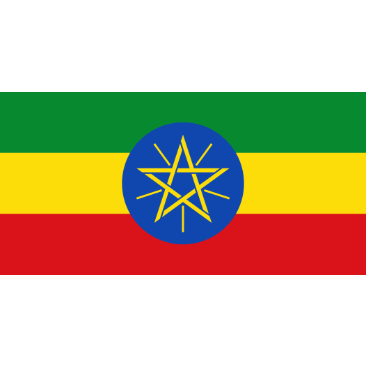 Vlag Ethiopie 30x45cm