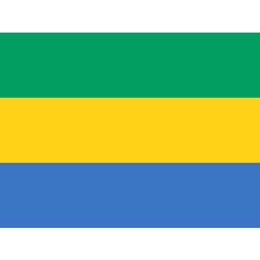 Vlag Gabon 50x75cm