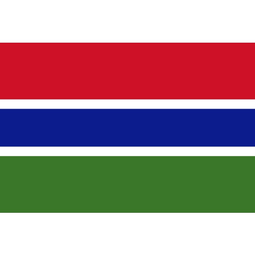 Vlag Gambia 70x100cm