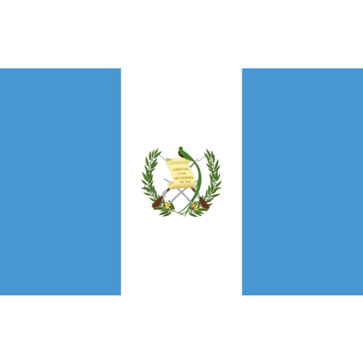 Vlag Guatemala 30x45cm