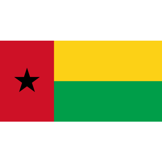 Vlag Guinee-Bissau 70x100cm