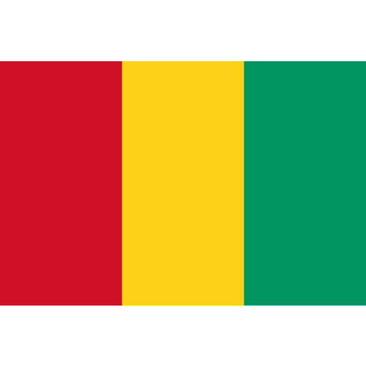 Vlag Guinee 50x75cm