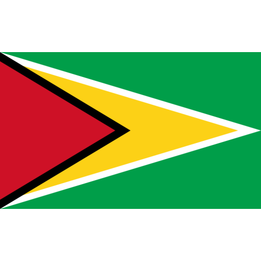 Vlag Guyana 30x45cm