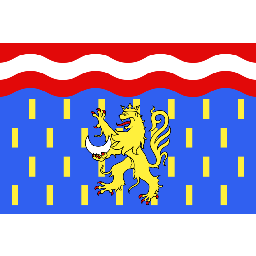 Vlag Haute-Saône 100x150m