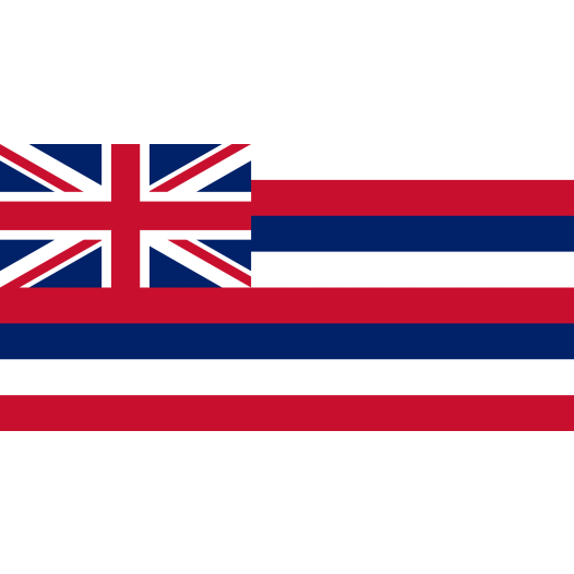 Vlag Hawaï 70x100cm