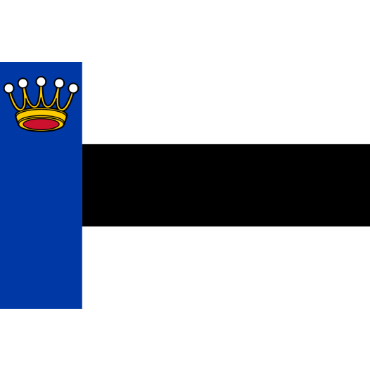 Vlag Heerenveen 70x100cm