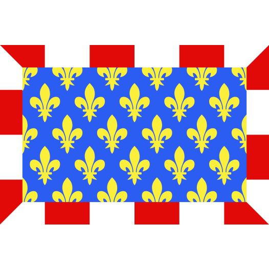 Vlag Indre-et-Loire 120x180cm