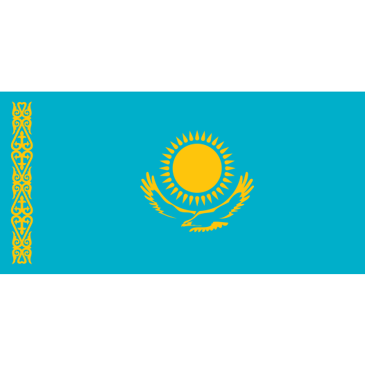 Vlag Kazachstan 50x75cm