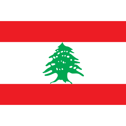 Vlag Libanon 50x75cm