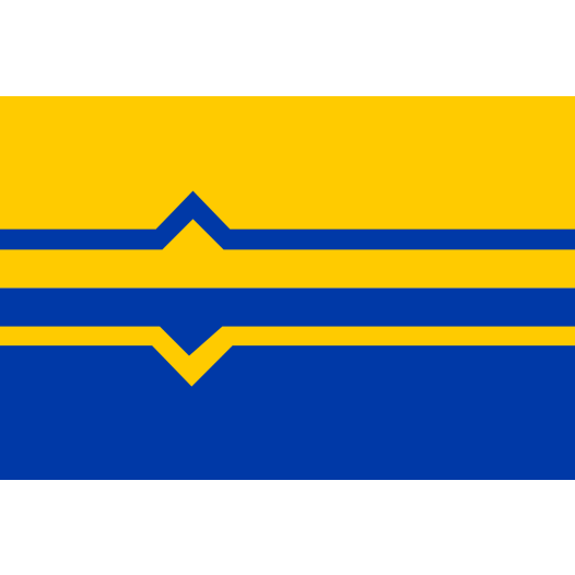 Vlag Lochem 70x100cm