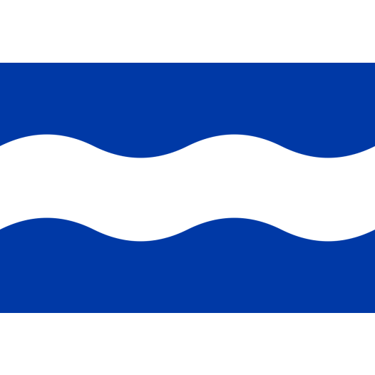 Vlag Maassluis 70x100cm