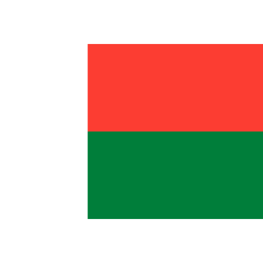 Vlag Madagaskar 50x75cm