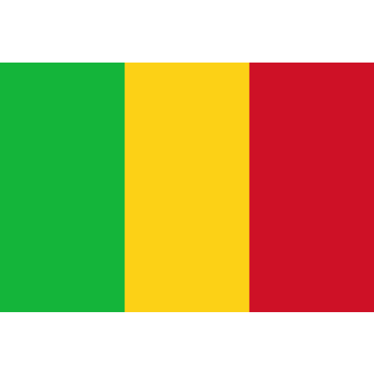 Vlag Mali 70x100cm